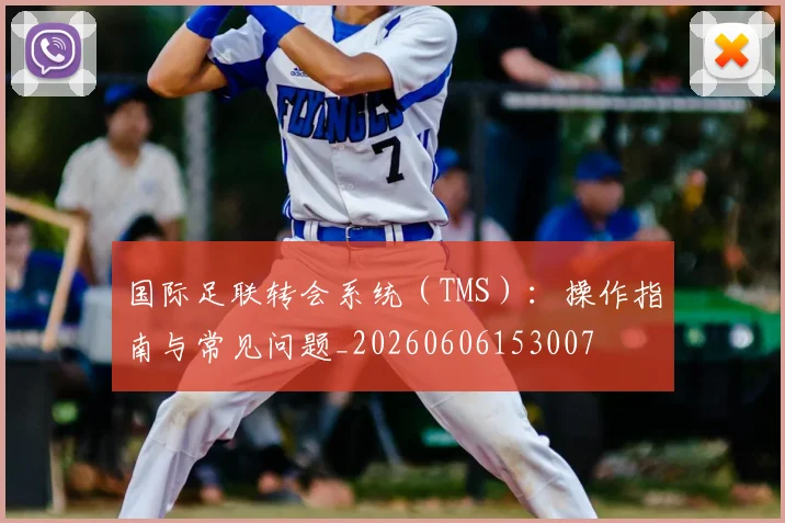 国际足联转会系统（TMS）：操作指南与常见问题_20260606153007